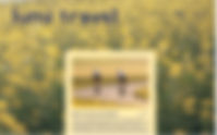 explore website ideas