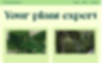 explore website ideas