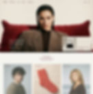 Website template for an eCommerce website.