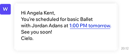  Image of a Ballet School website with the client management tool from Wix Bookings